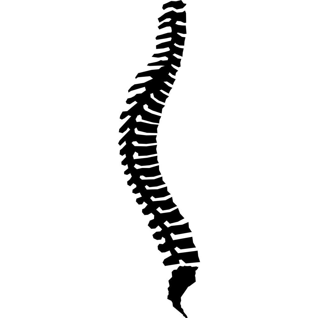 free chiropractic logo clip art - photo #49